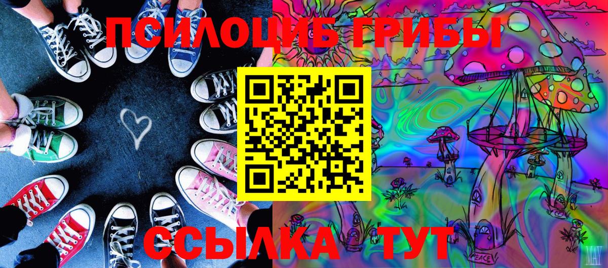 Барнаул  Псилоцибиновые грибы MAGIC MUSHROOMS  Псилоцибиновые грибы ЛСД  Вход с VPN 