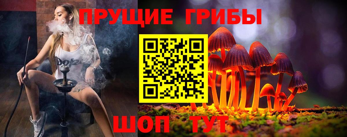 Псилоцибиновые грибы мицелий Барнаул